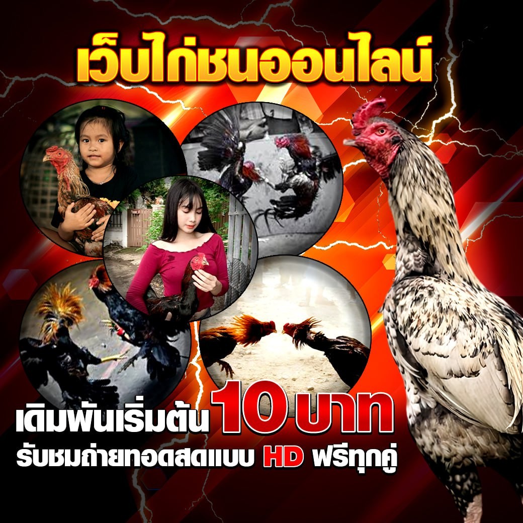 ���꡷���Ҿ